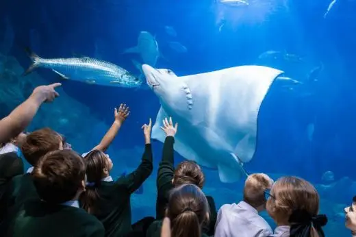 School children watching fish at the National Marine Aquarium